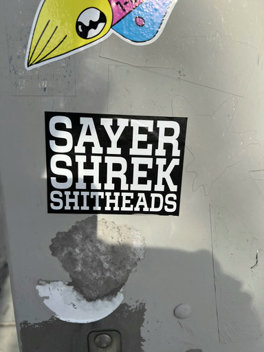 Sayer Shrek