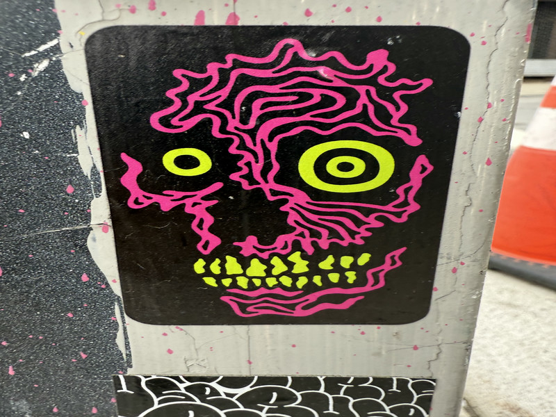 Skull