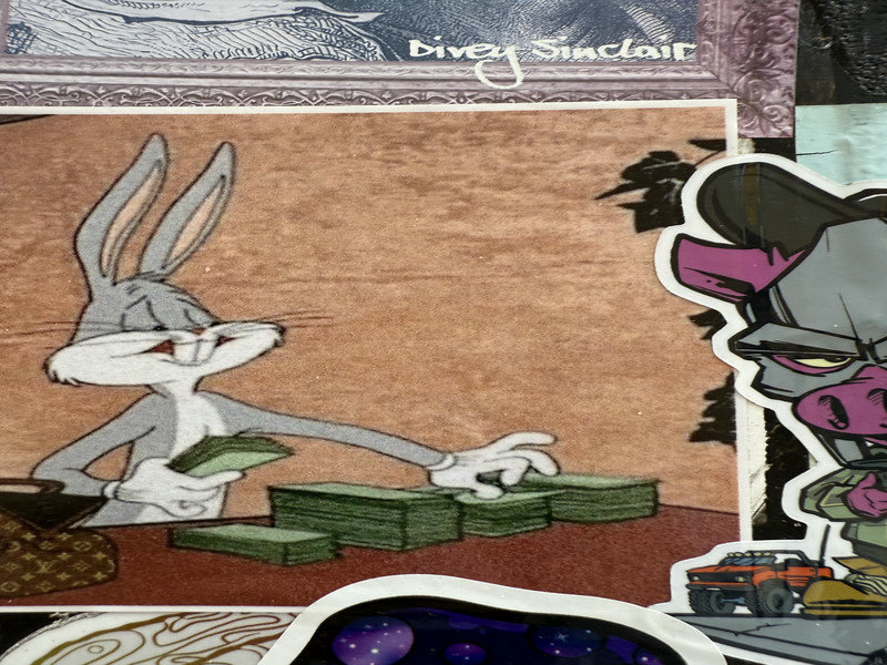 Bugs Money