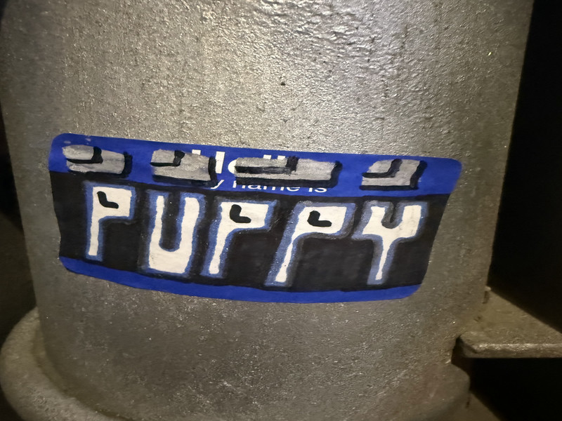 puppy