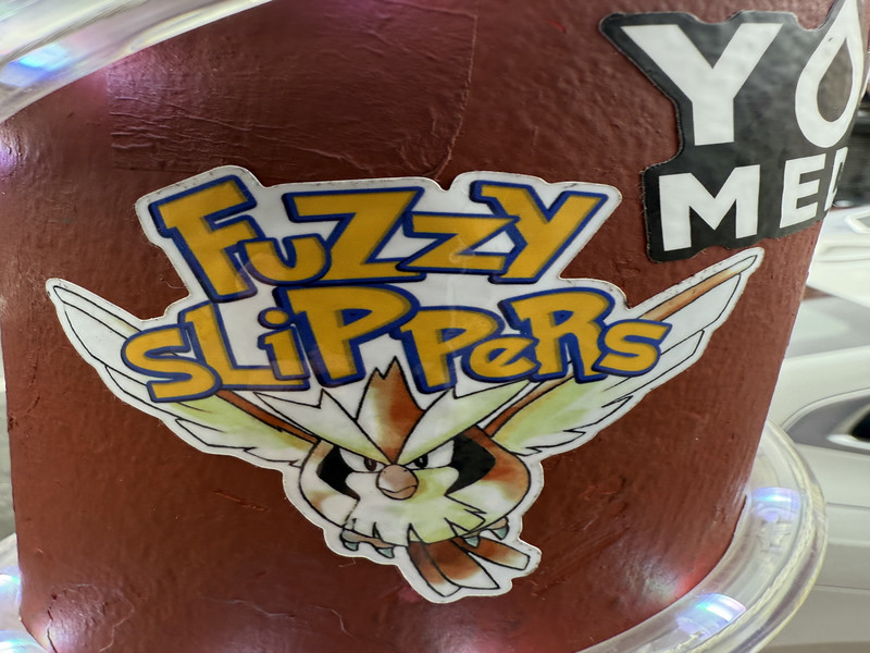 Fuzzy Slippers