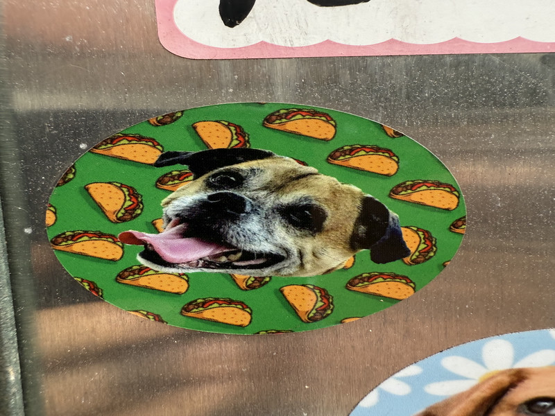 Taco Dog