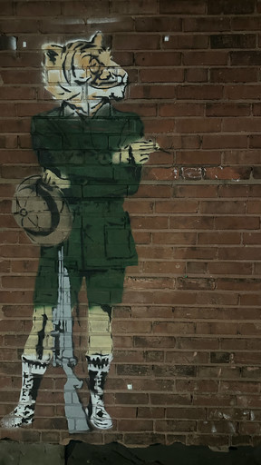 Tiger Hunter