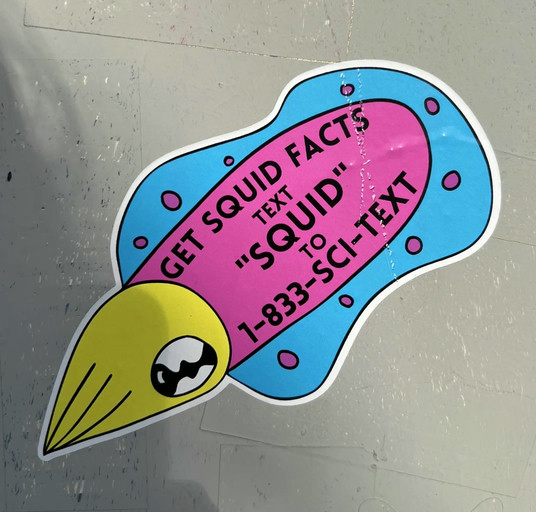 Squid Facts
