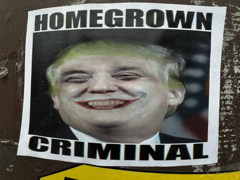 Homegrown Criminal