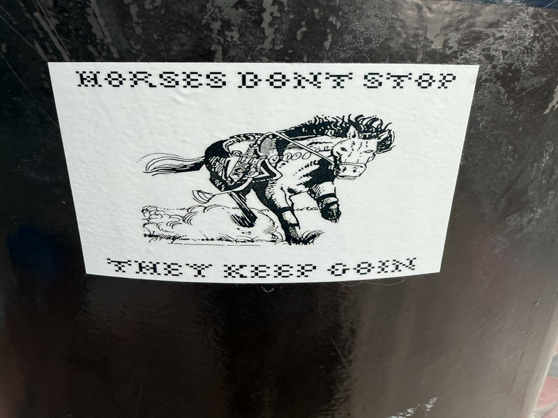Horses Don't Stop