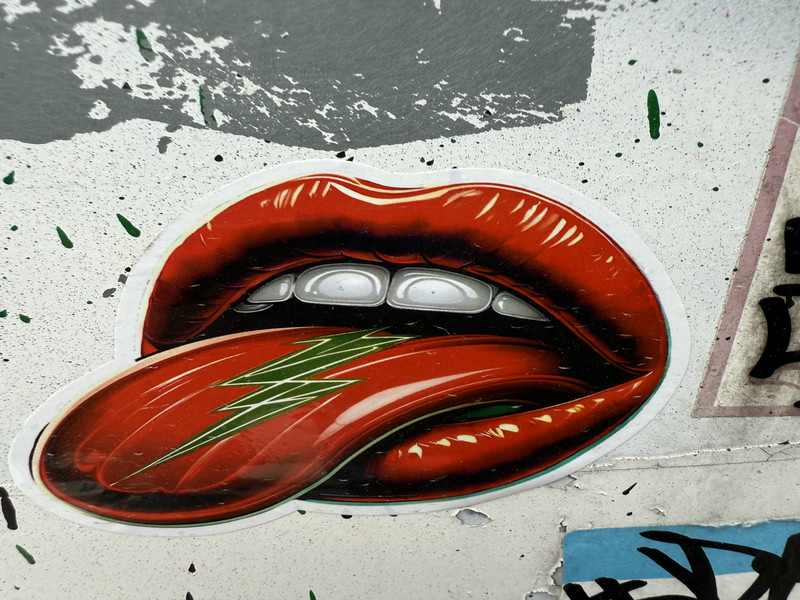 Tongue