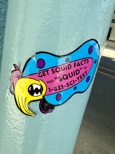 Squid Facts