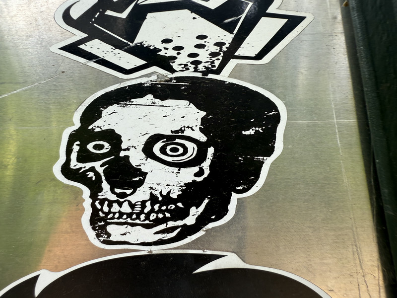 Skull