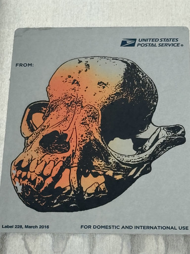 USPSkull