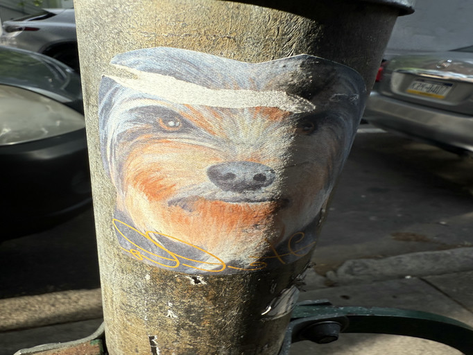Another Dog