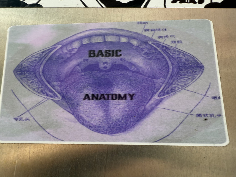 Basic Anatomy