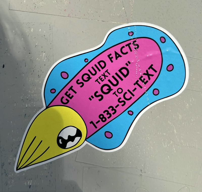 Squid Facts