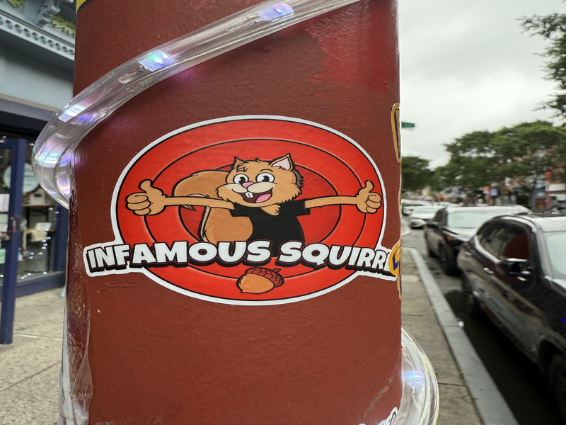 Infamous Squirrel